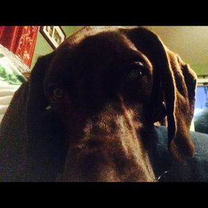 Meet your Posher, Barbara